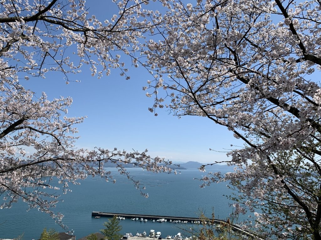 🌸 십삼불 공원(주산부츠 코엔) 이미지 7